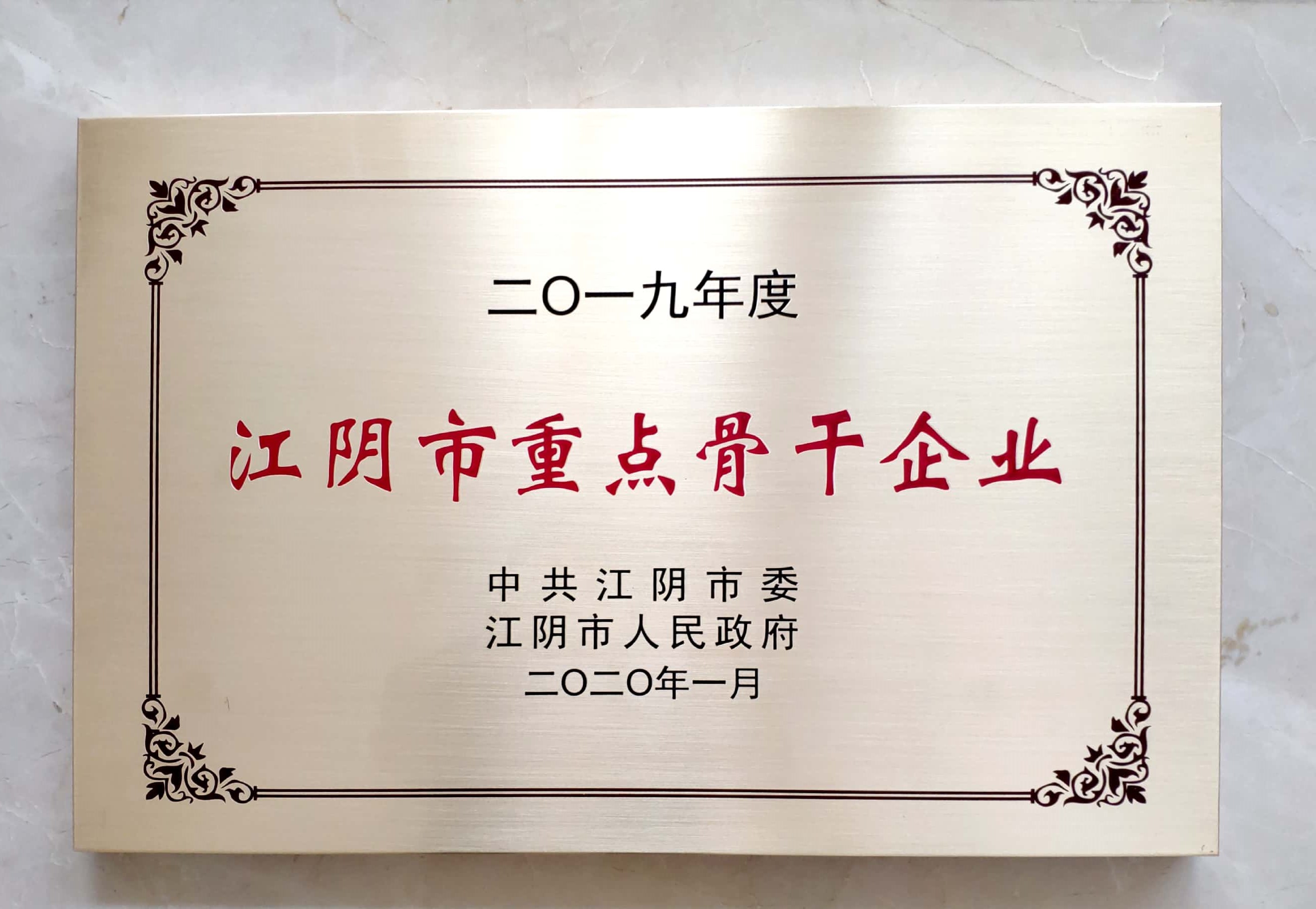 2019年度江陰市重點(diǎn)骨干企業(yè)